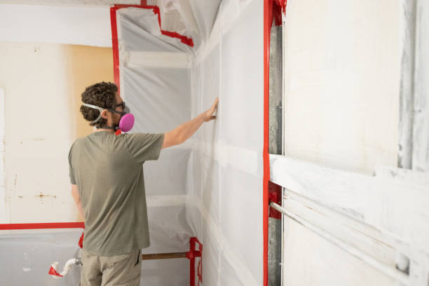 Best Attic Mold Removal  in Smithville Sanders, IN