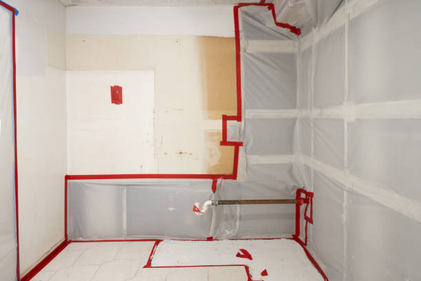 Best Commercial Mold Inspection  in Smithville Sanders, IN