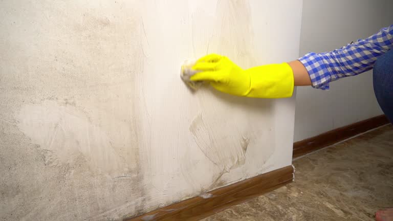 Smithville Sanders, IN Mold Removal Company