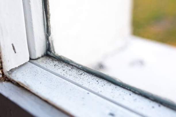 Environmental Consulting for Mold Prevention in Smithville Sanders, IN