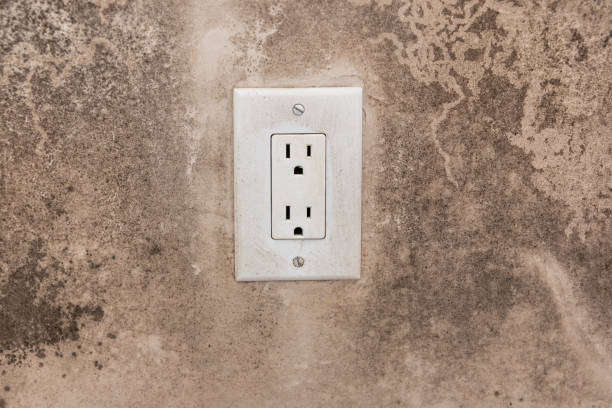 Best Water Damage & Mold Remediation  in Smithville Sanders, IN